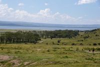 Lake Nakuru 12